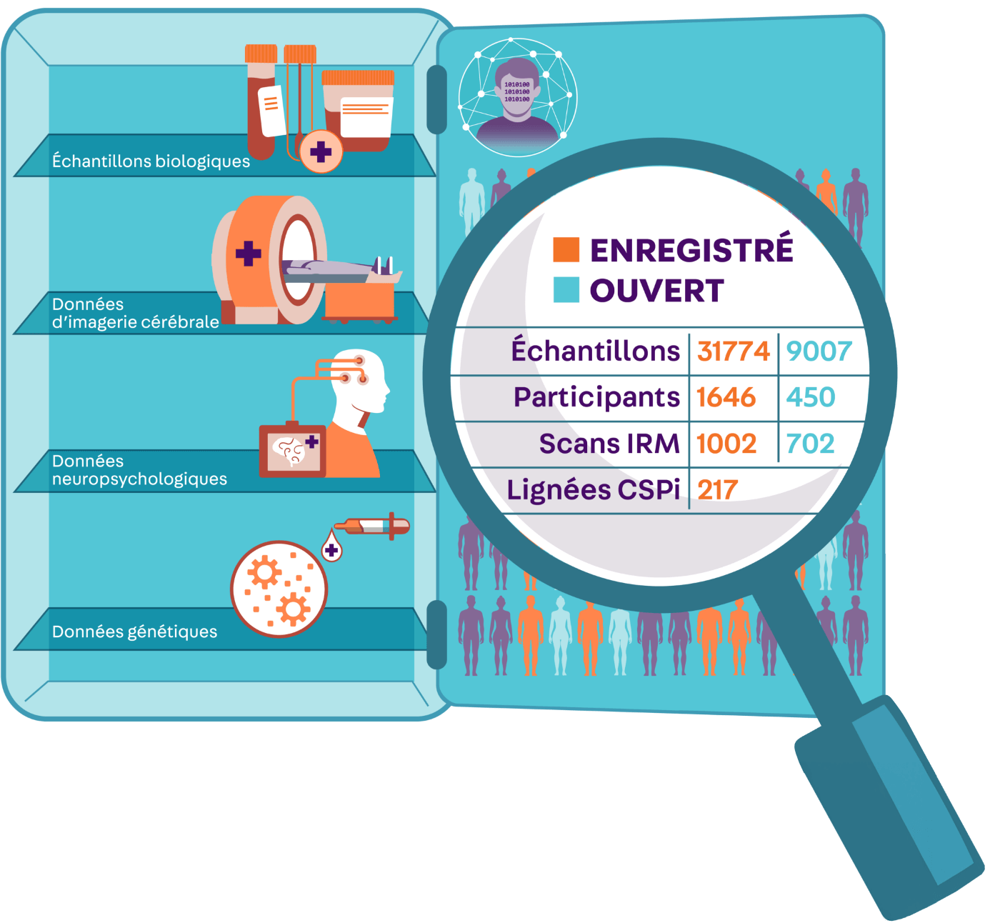 Schéma explicatif du référentiel C-BIG.